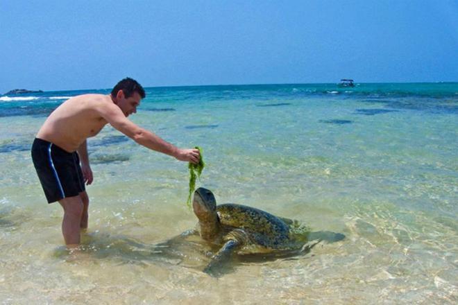 Sea Front Hikkaduwa Hotel Ngoại thất bức ảnh